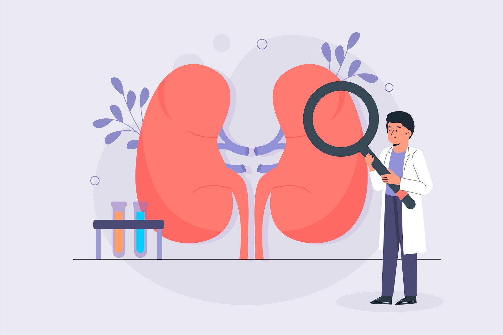 신장 망가지고 살찌는 나쁜 생활 습관, 신장에 좋은 음식 (foods that are good for your kidneys)