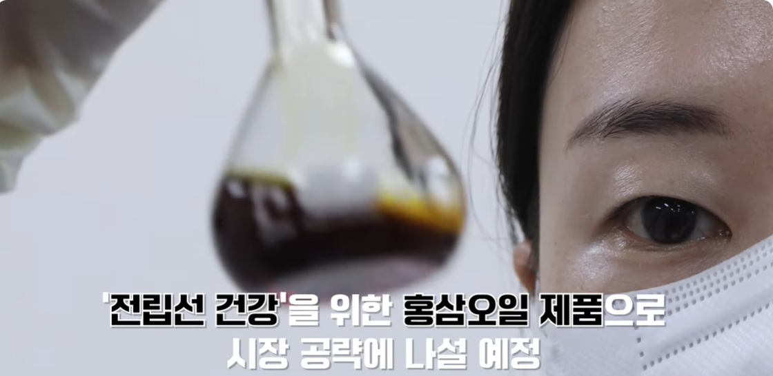 홍삼오일, 전립선비대 증상 완화는 물론 성기능도 개선 효과 (Red ginseng oil relieves symptoms of enlarged prostate)
