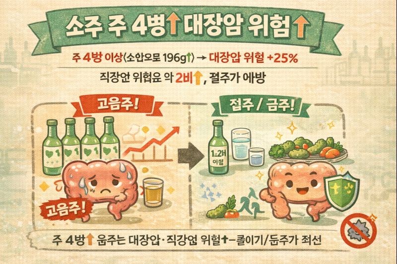 일주일 소주 4병 이상 마시면 대장암 위험 25%↑…직장암은 2배(순알코올 196g 기준)