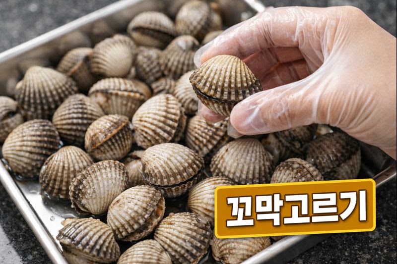 꼬막 고르는 법: 주름골 선명한 신선한 꼬막 구입 꿀팁
