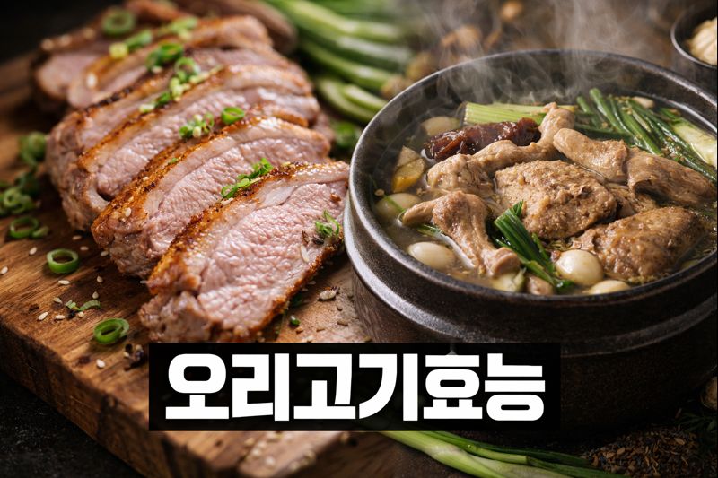 오리고기 효능 5가지｜불포화지방산으로 혈관 건강? 영양성분·다이어트·간 해독까지 총정리