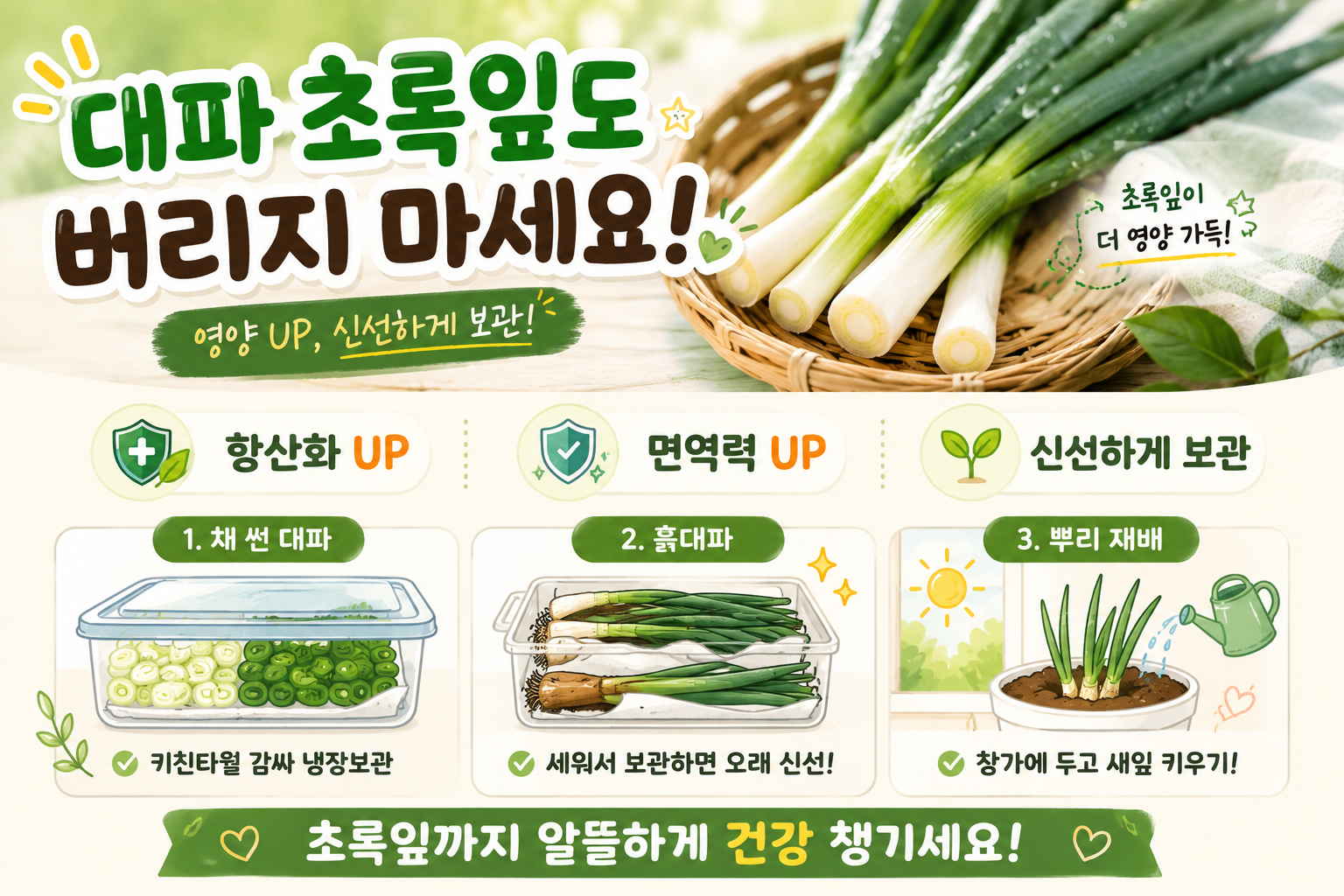 대파 초록잎 버리면 손해, 흰 줄기보다 영양 많은 이유