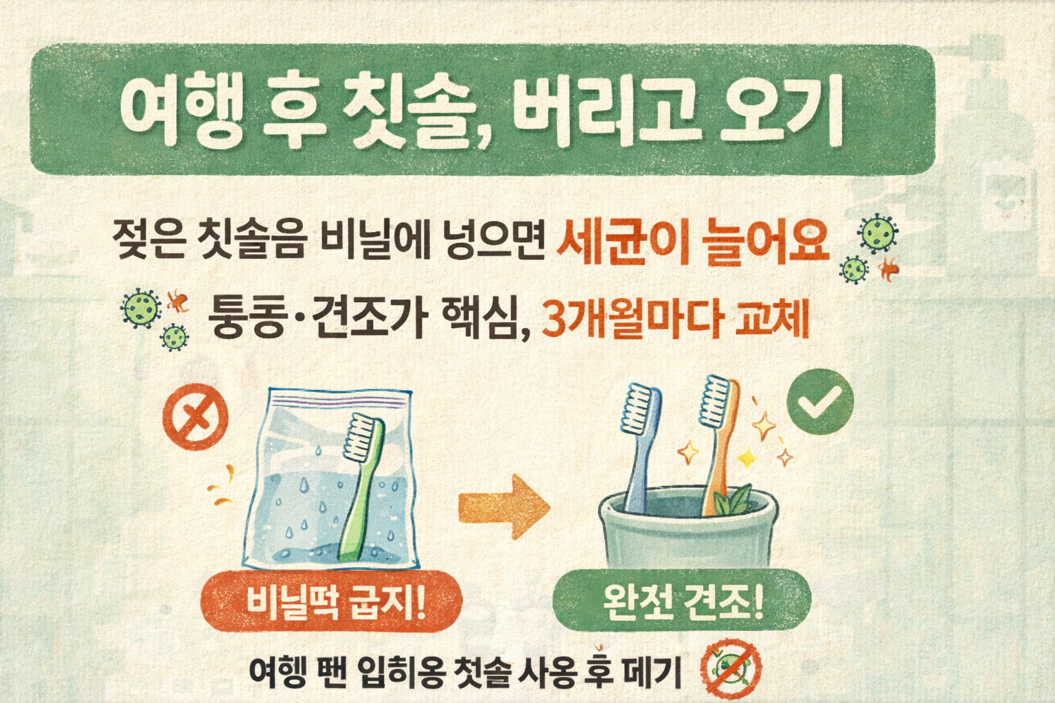 “세균 바글바글” 백지연이 여행지에서 칫솔을 버리는 이유… 비닐팩 보관이 더 위험한 습관