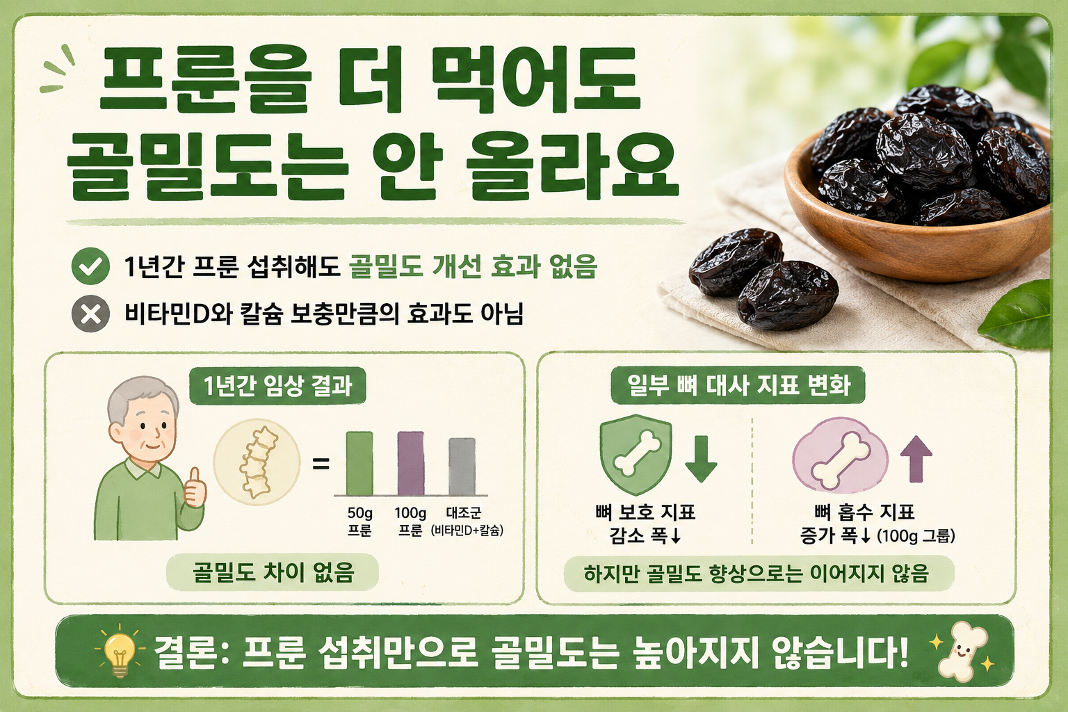 프룬 많이 먹으면 뼈에 좋을까, 골밀도 연구가 보여준 반전