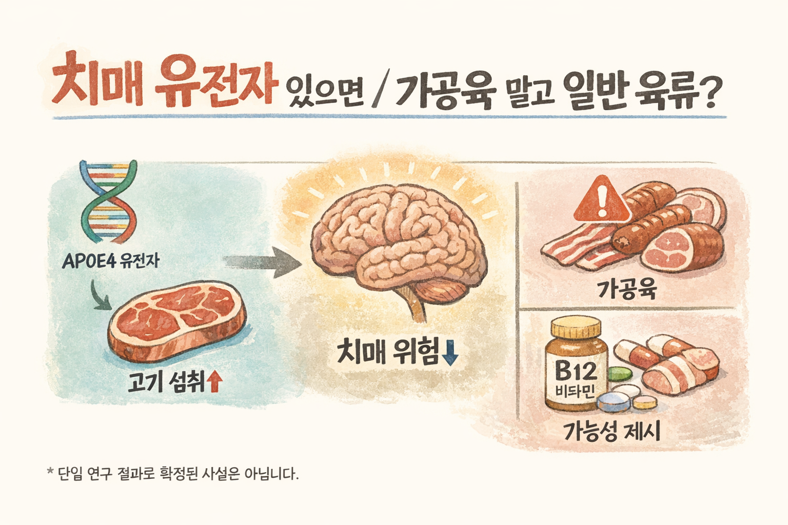 치매 유전자 있다면 고기 먹어야 할까? APOE4 보유자 치매 위험 낮춘 연구
