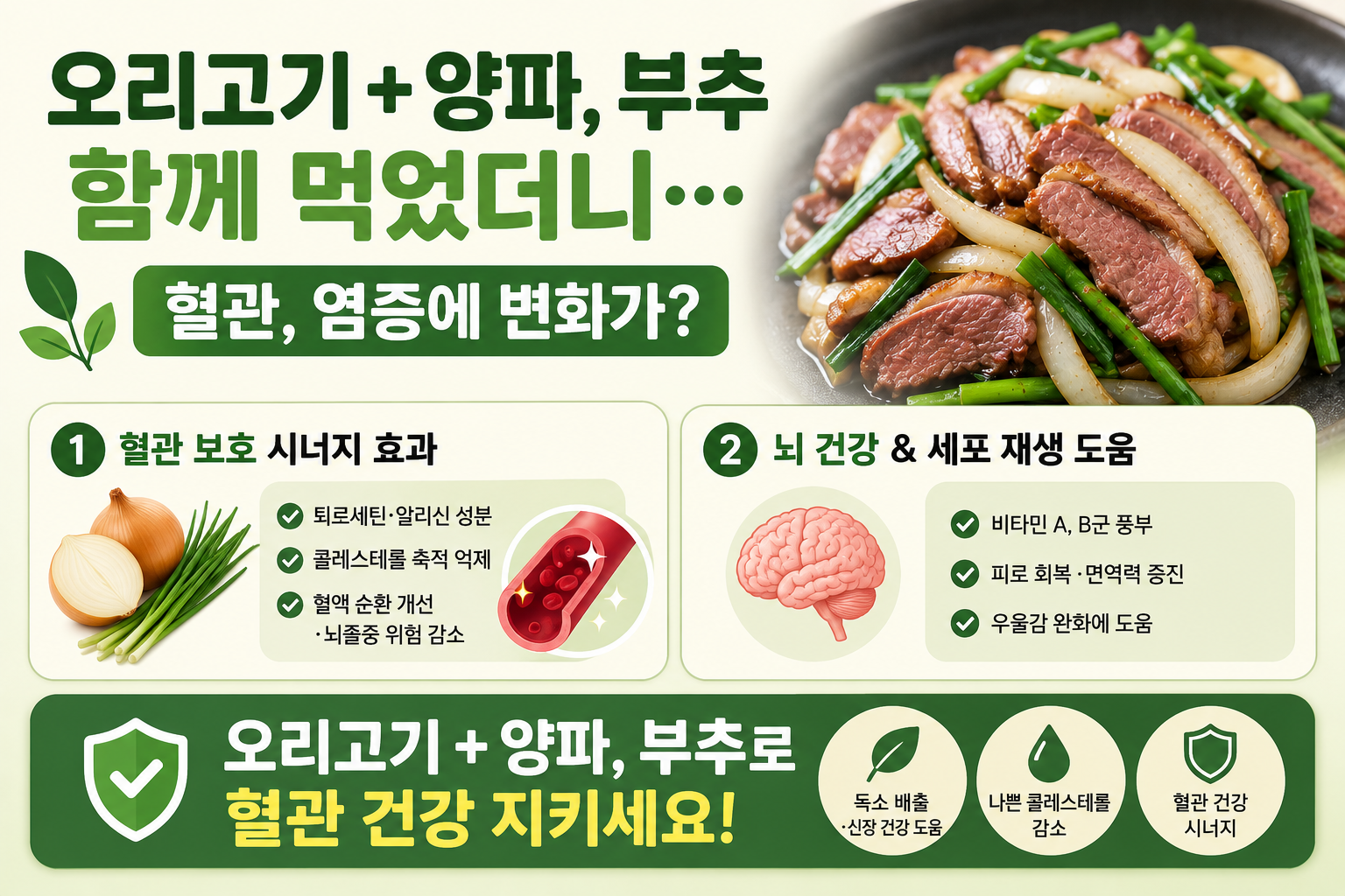 오리고기 양파 부추 같이 먹었더니? 혈관과 염증에 생기는 변화