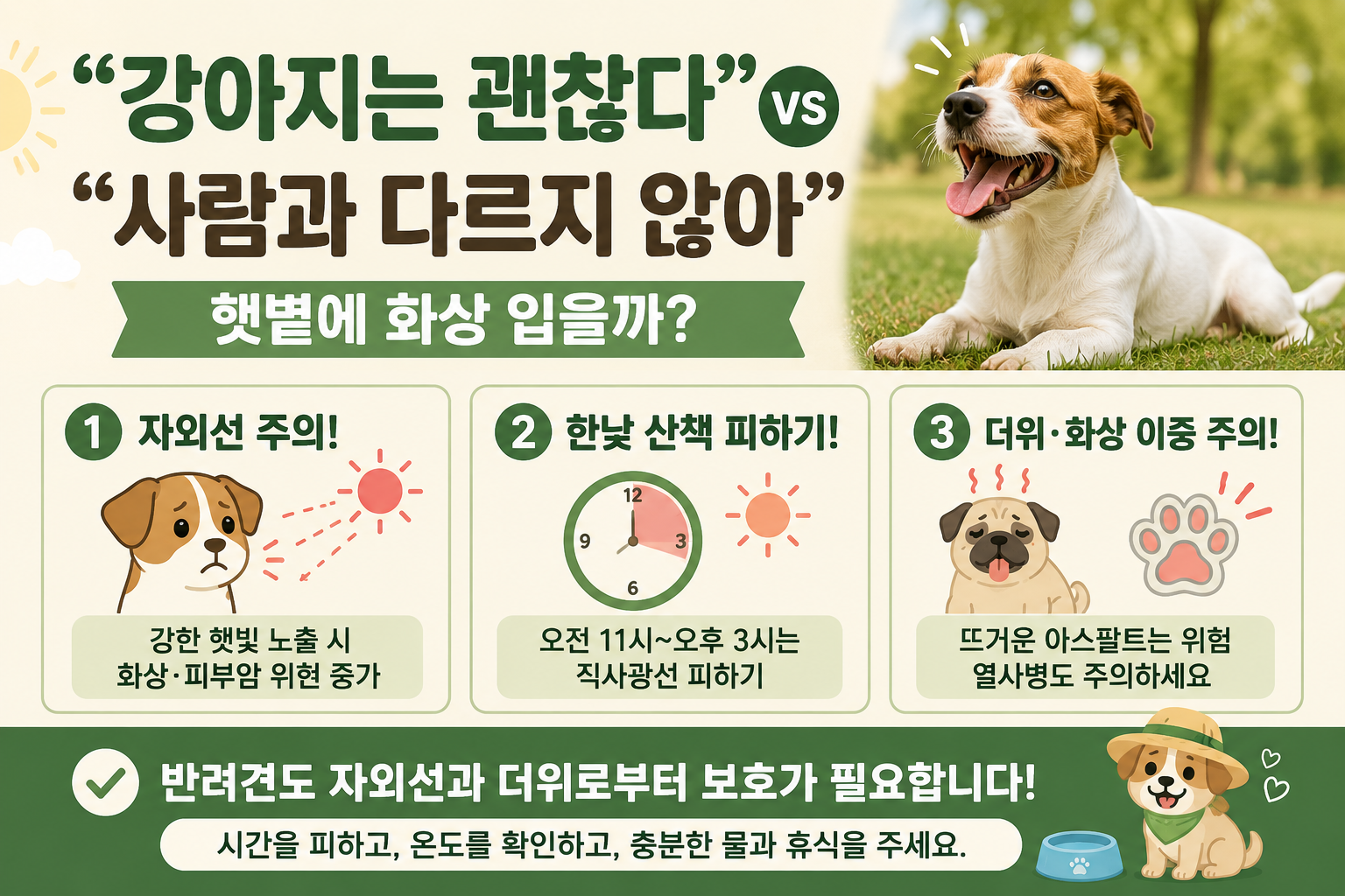 강아지도 햇볕에 탄다? 여름 산책 전 꼭 알아야 할 화상·열사병 경고