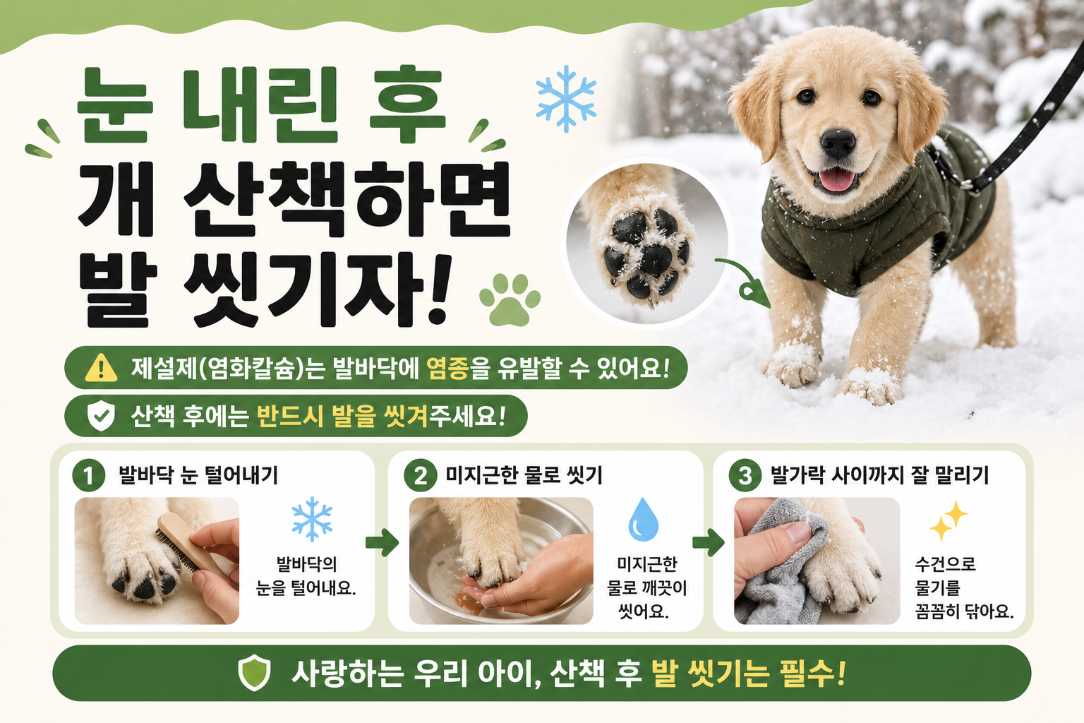 눈 온 날 강아지 산책했다면, 염화칼슘 남기지 말고 발부터 씻기세요