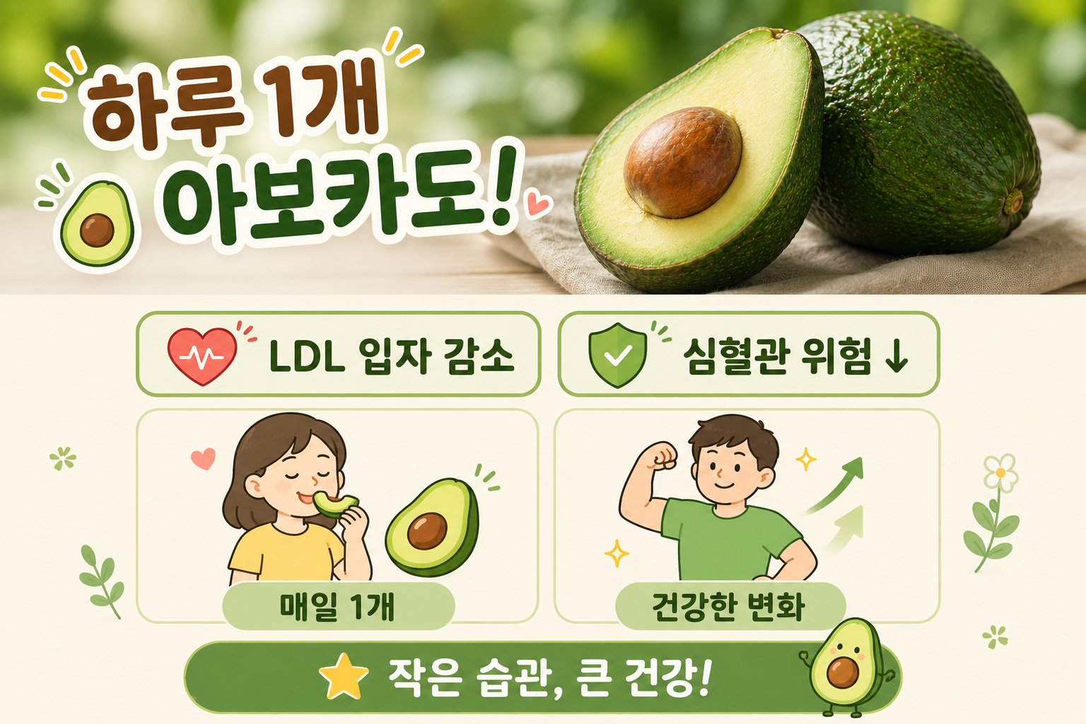 매일 아보카도 1개 먹었더니… 나쁜 콜레스테롤 입자 줄었다