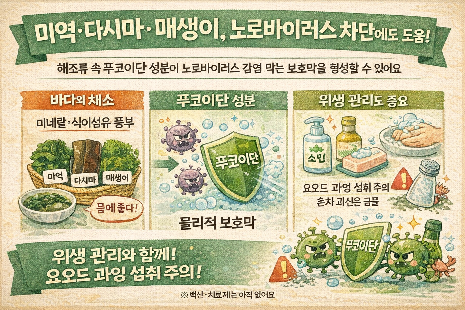 미역·다시마·매생이, 노로바이러스까지 막는다? 푸코이단의 뜻밖의 효능