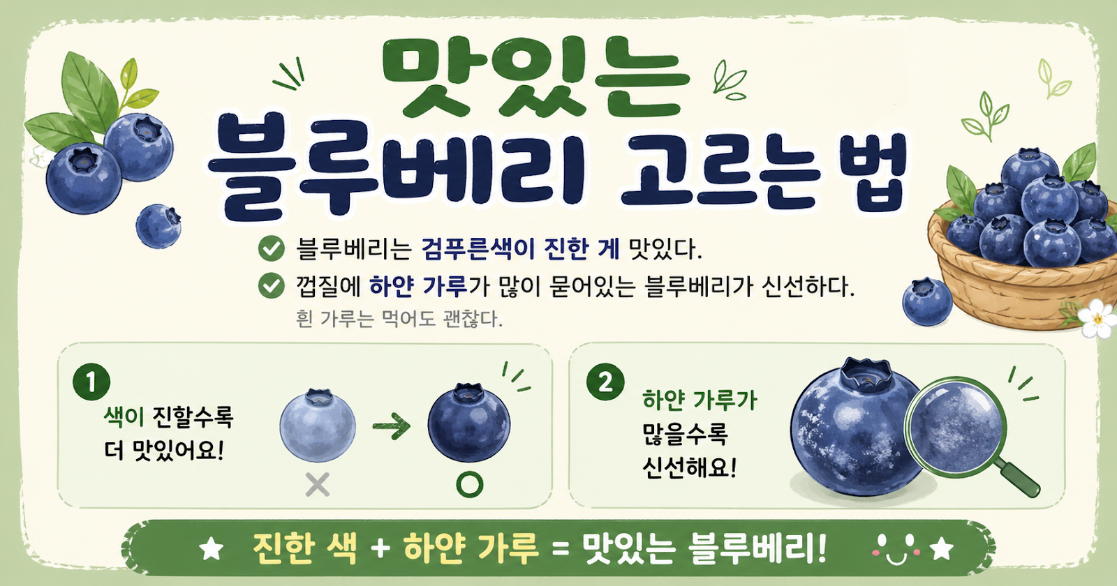 맛있는 블루베리 고르는 법, 검푸른색과 흰가루만 보면 실패 없다