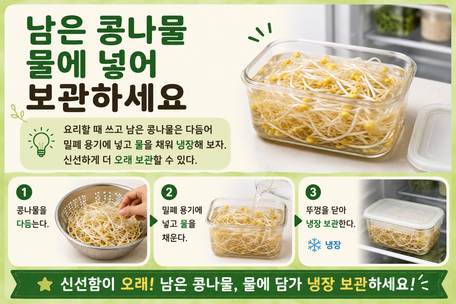 콩나물 그냥 두지 마세요! 물에 담가야 더 오래 가는 보관법