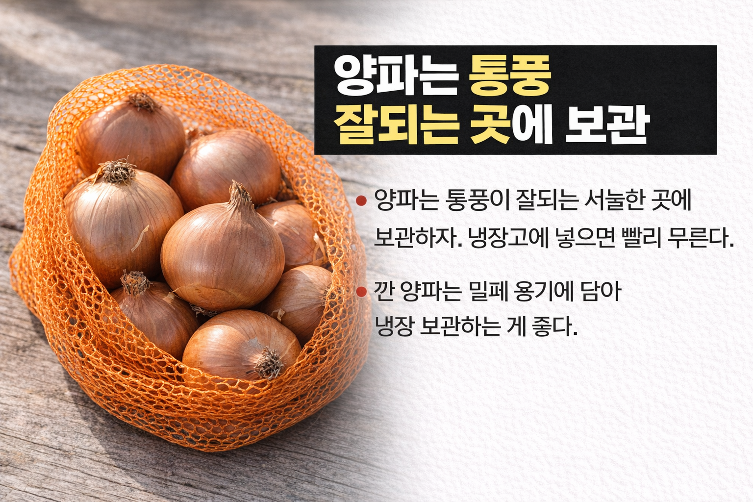 양파 보관법, 냉장고에 넣으면 무르는 이유! 통양파·깐 양파 오래 두는 법