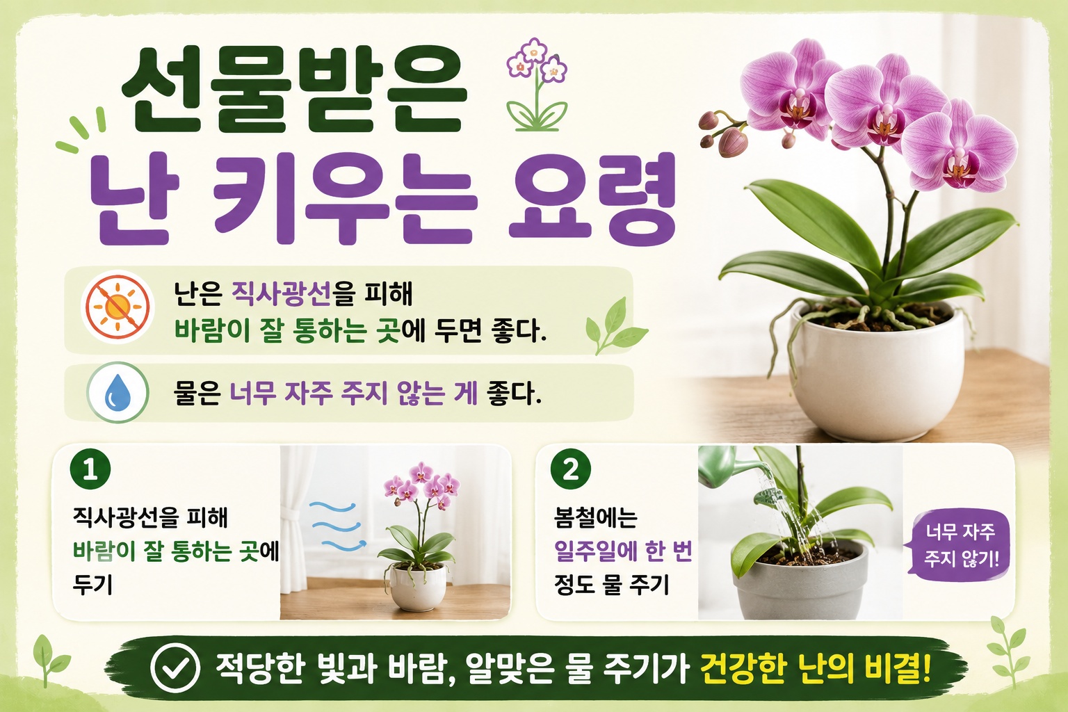 선물받은 난 키우는 요령, 직사광선 피하고 물은 자주 주지 마세요