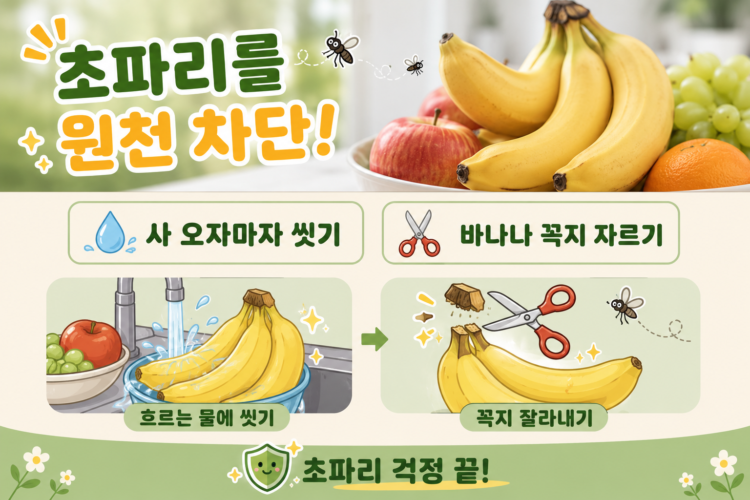 초파리 계속 생기는 진짜 이유, 과일 사오자마자 씻고 바나나 꼭지 자르세요