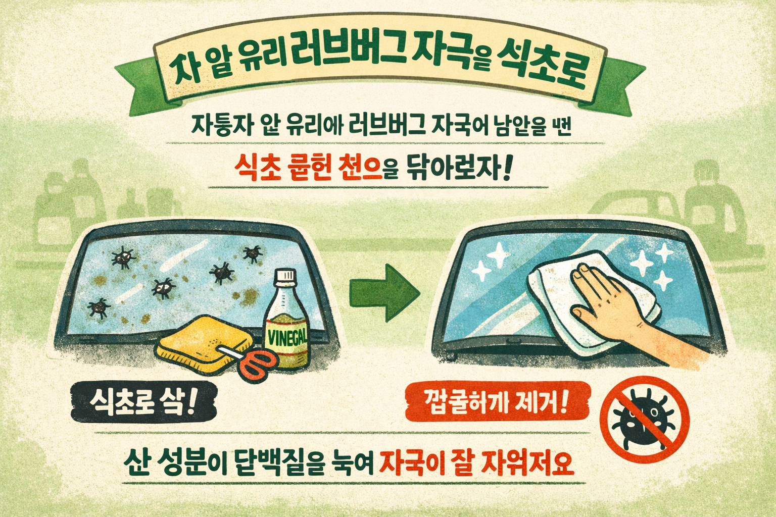 차 앞유리 러브버그 자국 제거법: 식초로 벌레 얼룩 빠르게 지우는 방법