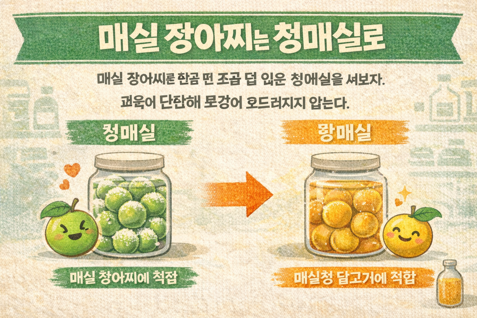 매실 장아찌는 청매실, 매실청은 황매실로… 실패 없는 매실 고르는 법