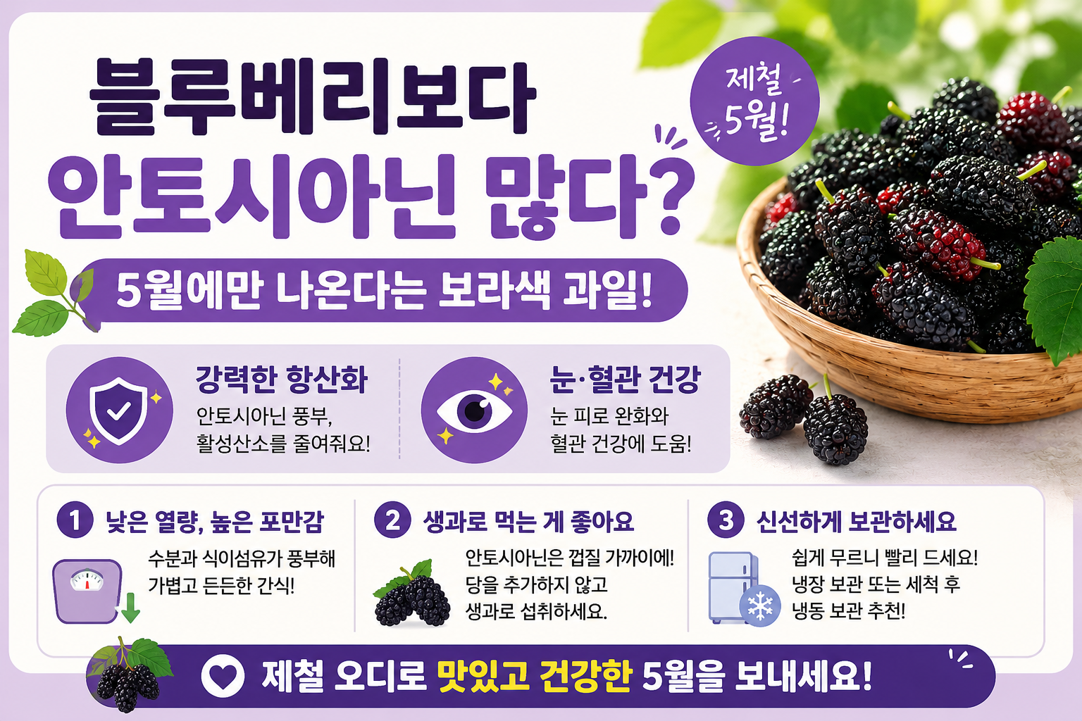 블루베리보다 안토시아닌 많다? 5월에만 나오는 보라색 과일, 오디의 정체