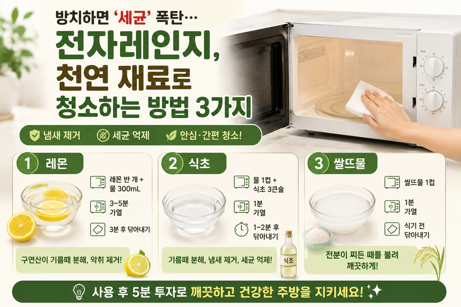 전자레인지 세균 폭탄 막는 법, 레몬·식초로 5분 청소