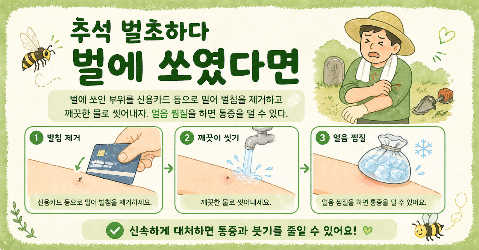 벌에 쏘였을 때 응급처치, 카드로 벌침 빼고 얼음찜질하세요! 추석 벌초 전 꼭 알아둘 것