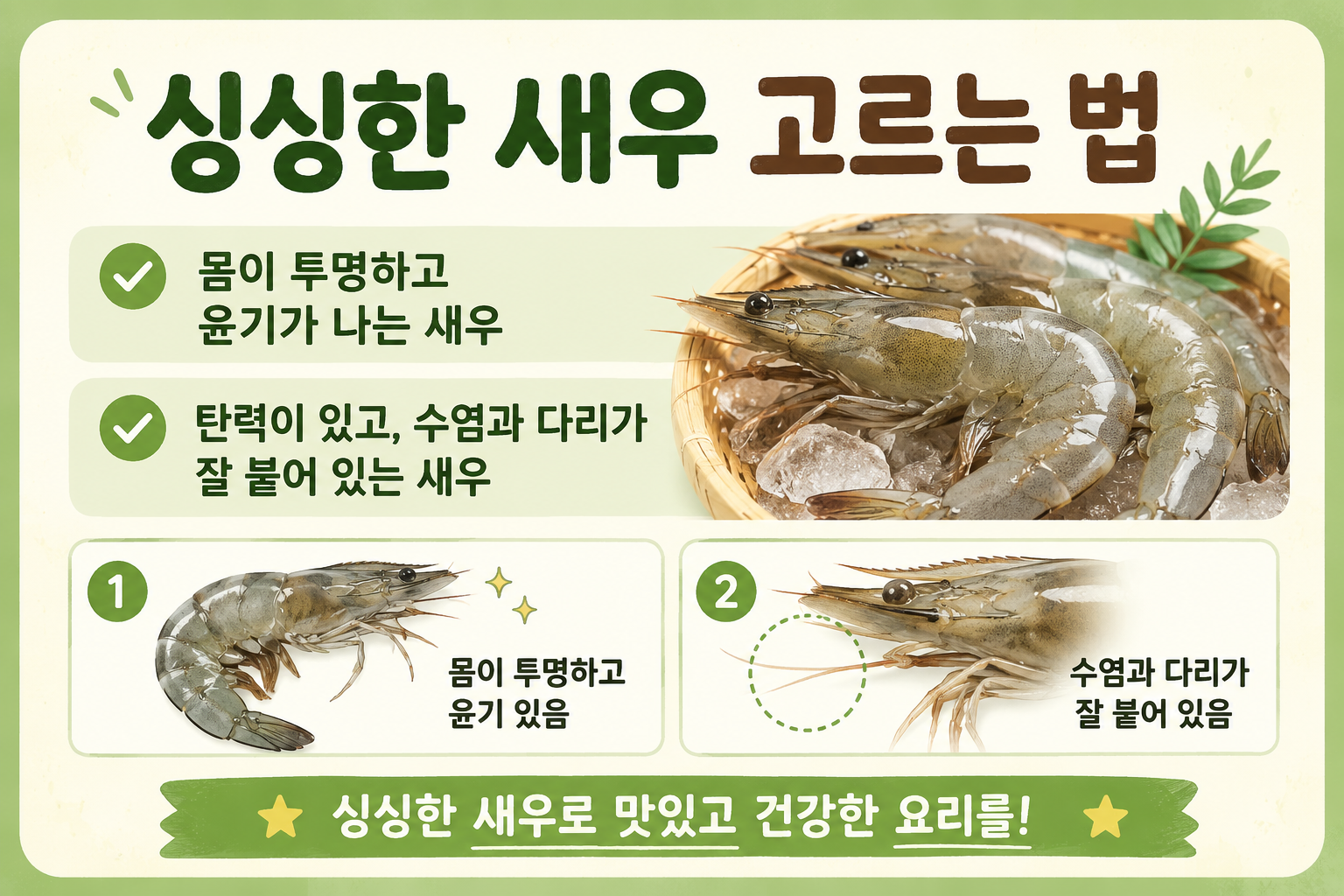 싱싱한 새우 고르는 법, 투명한 몸과 탄력만 보면 실패 없다