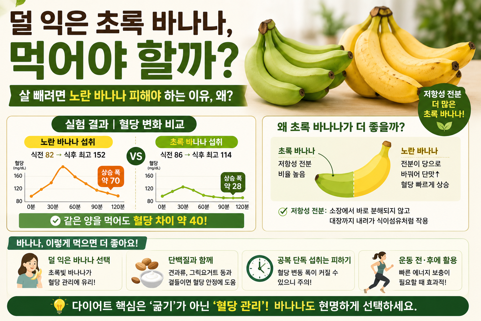 살 빼려면 노란 바나나보다 초록 바나나? 혈당 덜 오르는 이유