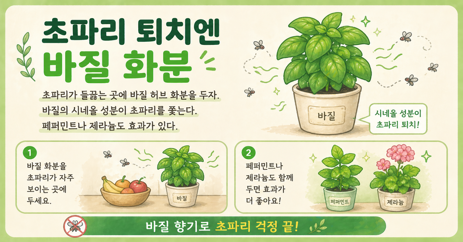 초파리 퇴치, 바질 화분 하나만 둬도 주방 날벌레 줄어드는 이유