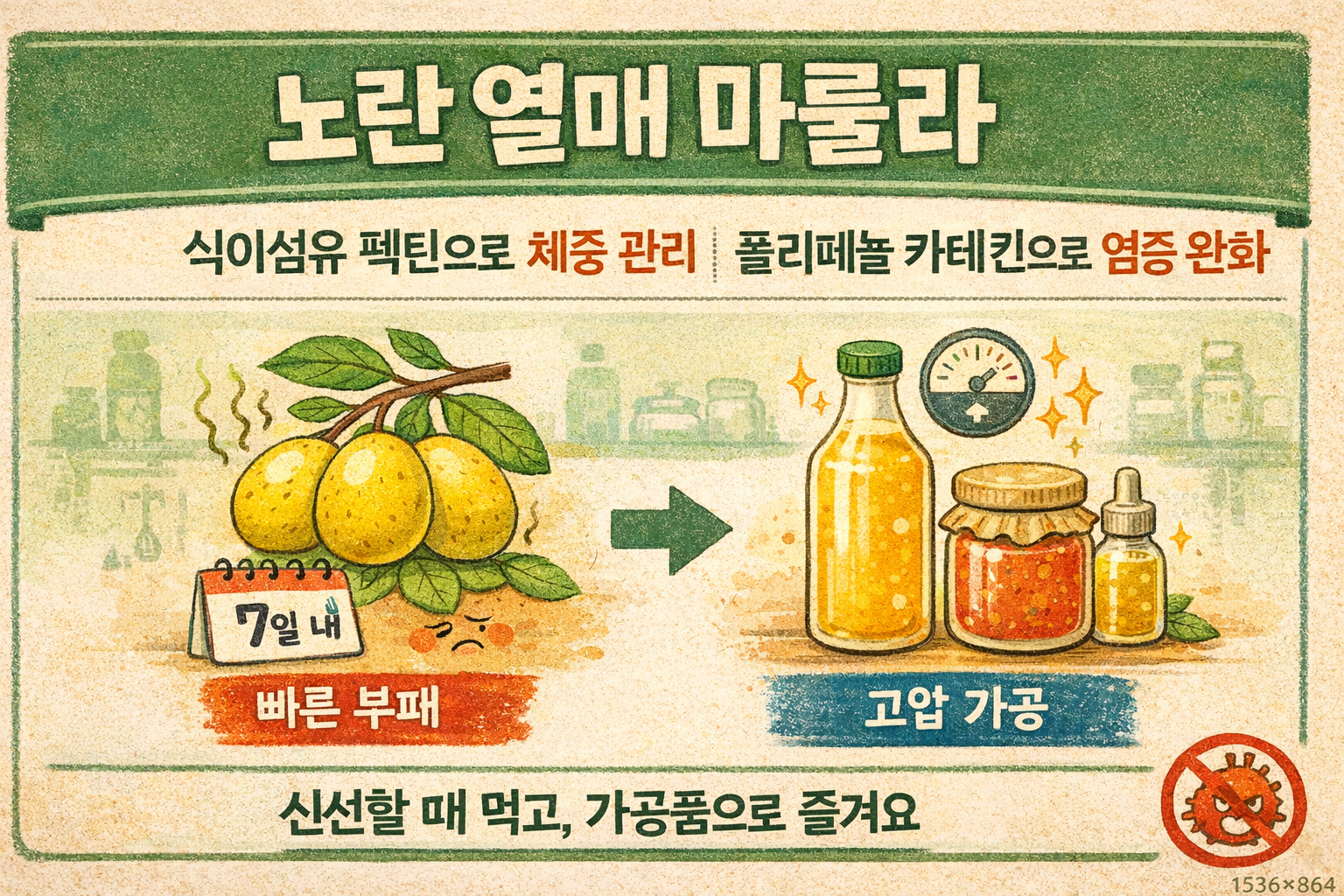 마룰라 효능 총정리: 아마룰라 원료 ‘아프리카 노란 열매’가 체중·염증·혈당에 좋은 이유