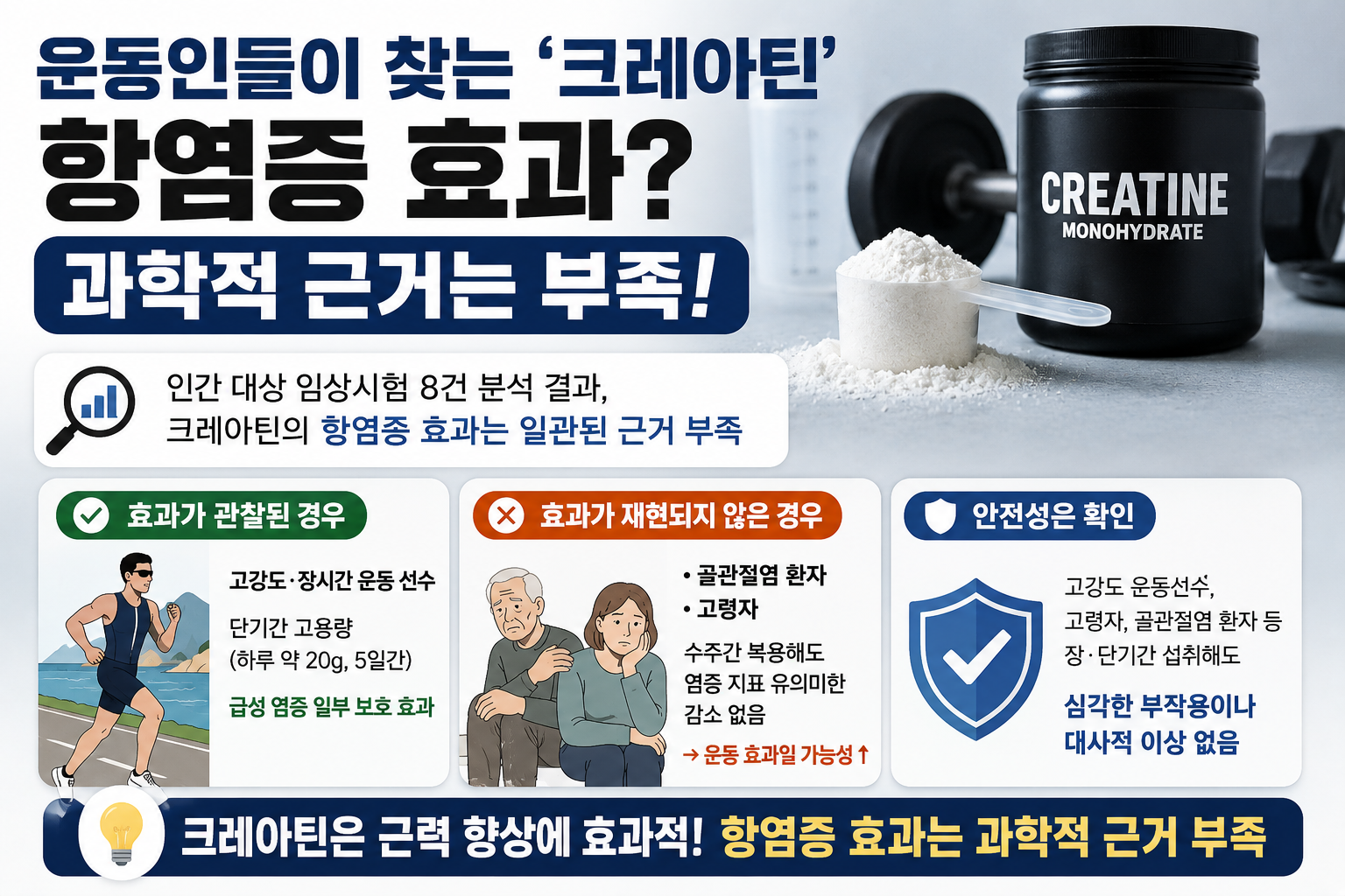 크레아틴 항염증 효과 있다? 임상시험이 밝힌 진짜 효능