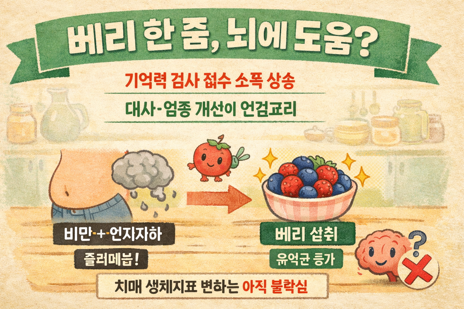 블루베리·딸기 ‘베리류’ 한 줌, 살 빠지는 느낌? 사실은 기억력·혈당이 핵심…비만성 인지저하 완화 가능성(연구)