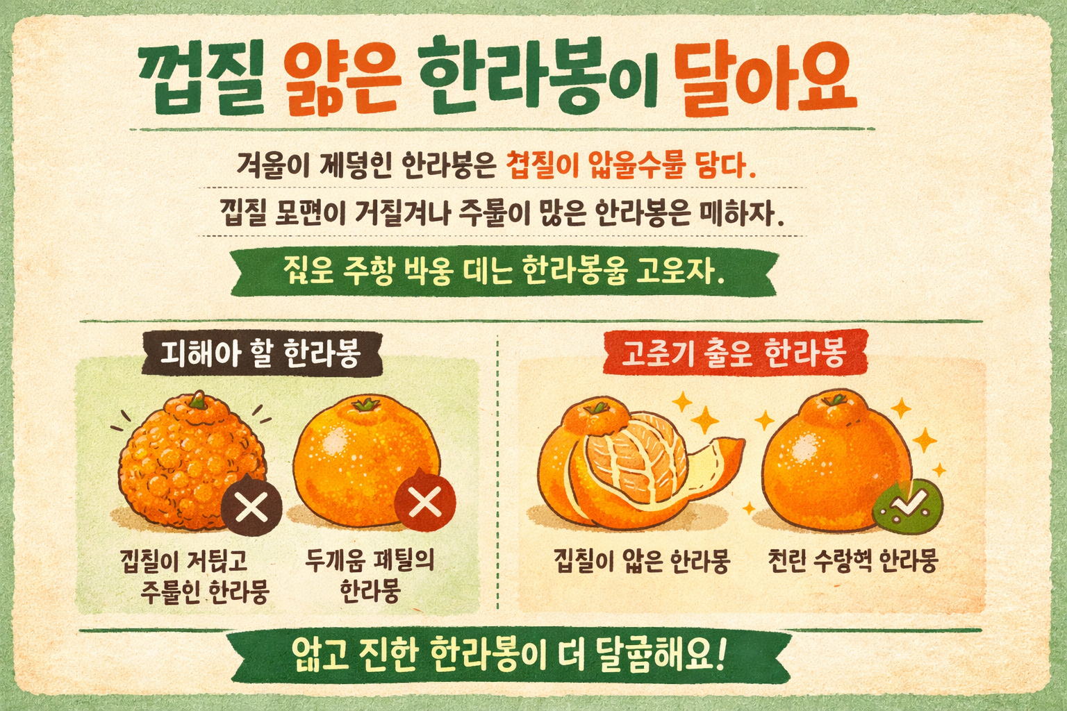 한라봉 고르는 법, 껍질 얇고 짙은 주황색이 더 달다
