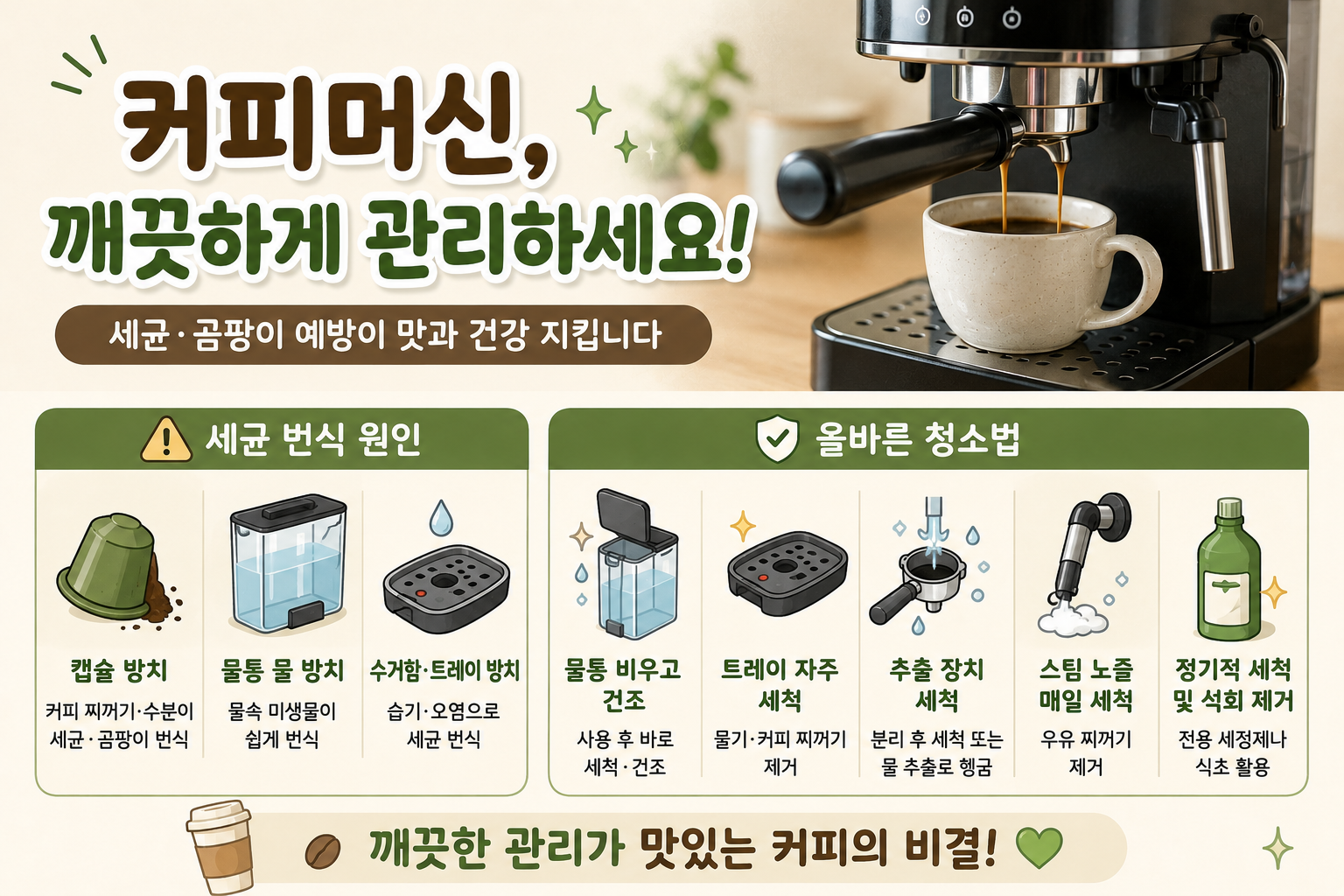 커피머신 그냥 쓰면 세균 커피? 캡슐·물통 청소 안 하면 생기는 일