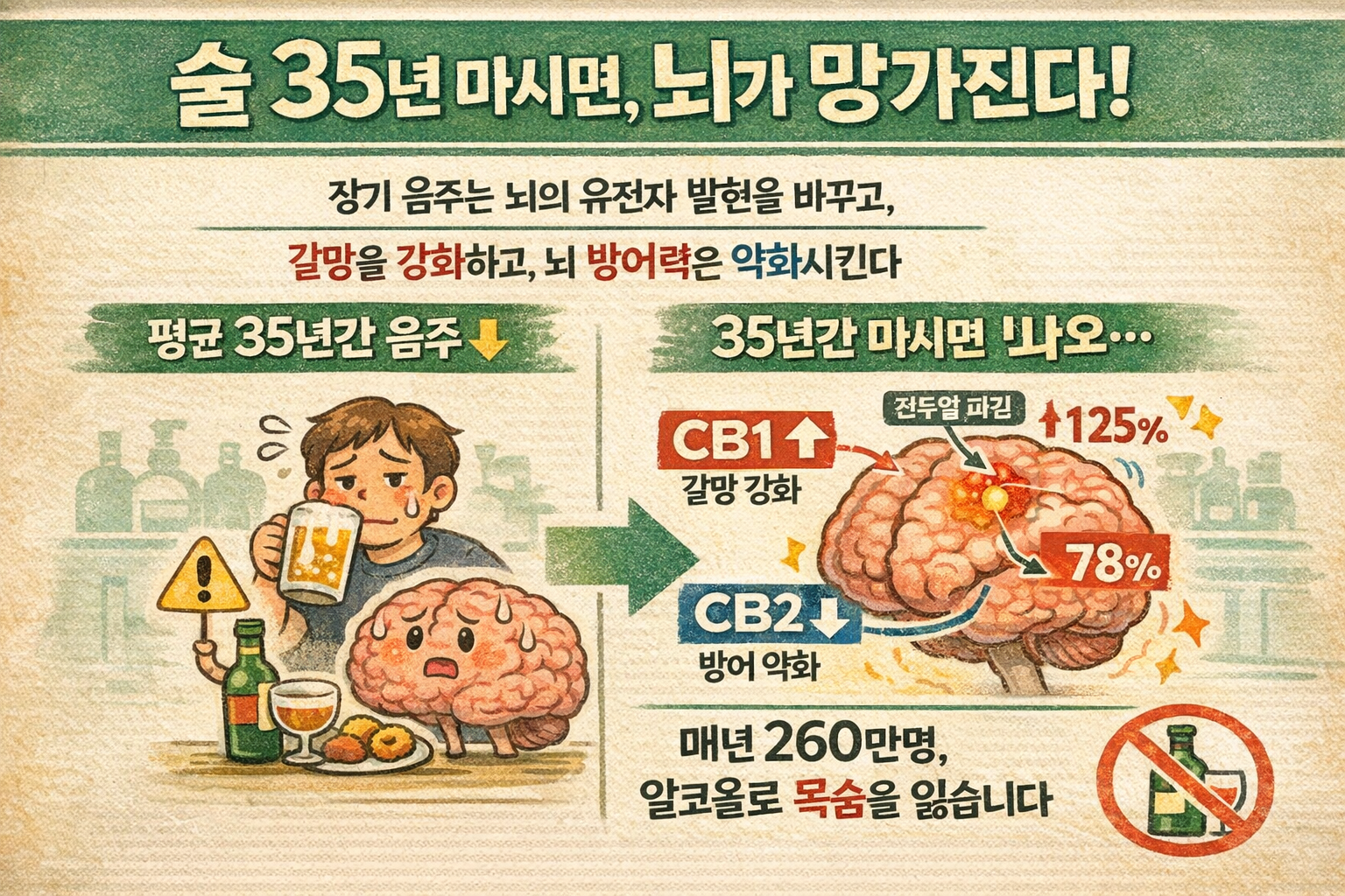 술 35년 마시면 뇌가 이렇게 변한다: 전두엽 CB1 125%↑·CB2 50%↓, 중독 재발 위험