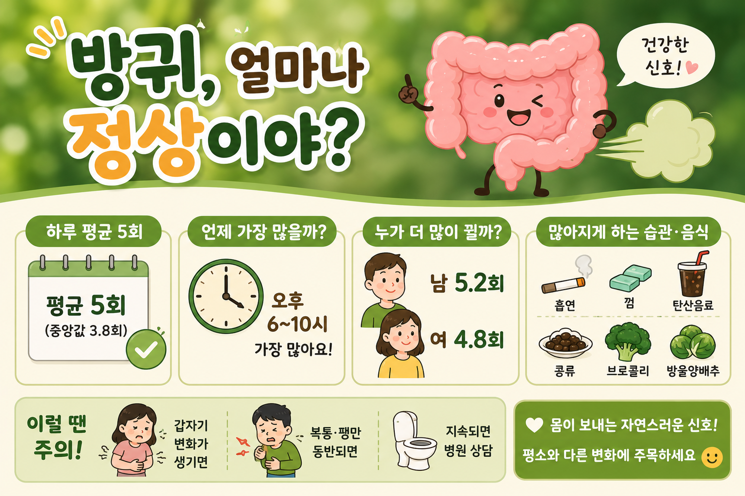 방귀 하루 몇 번이 정상일까? 6400명 연구가 밝힌 평균 5회와 건강 이상 신호