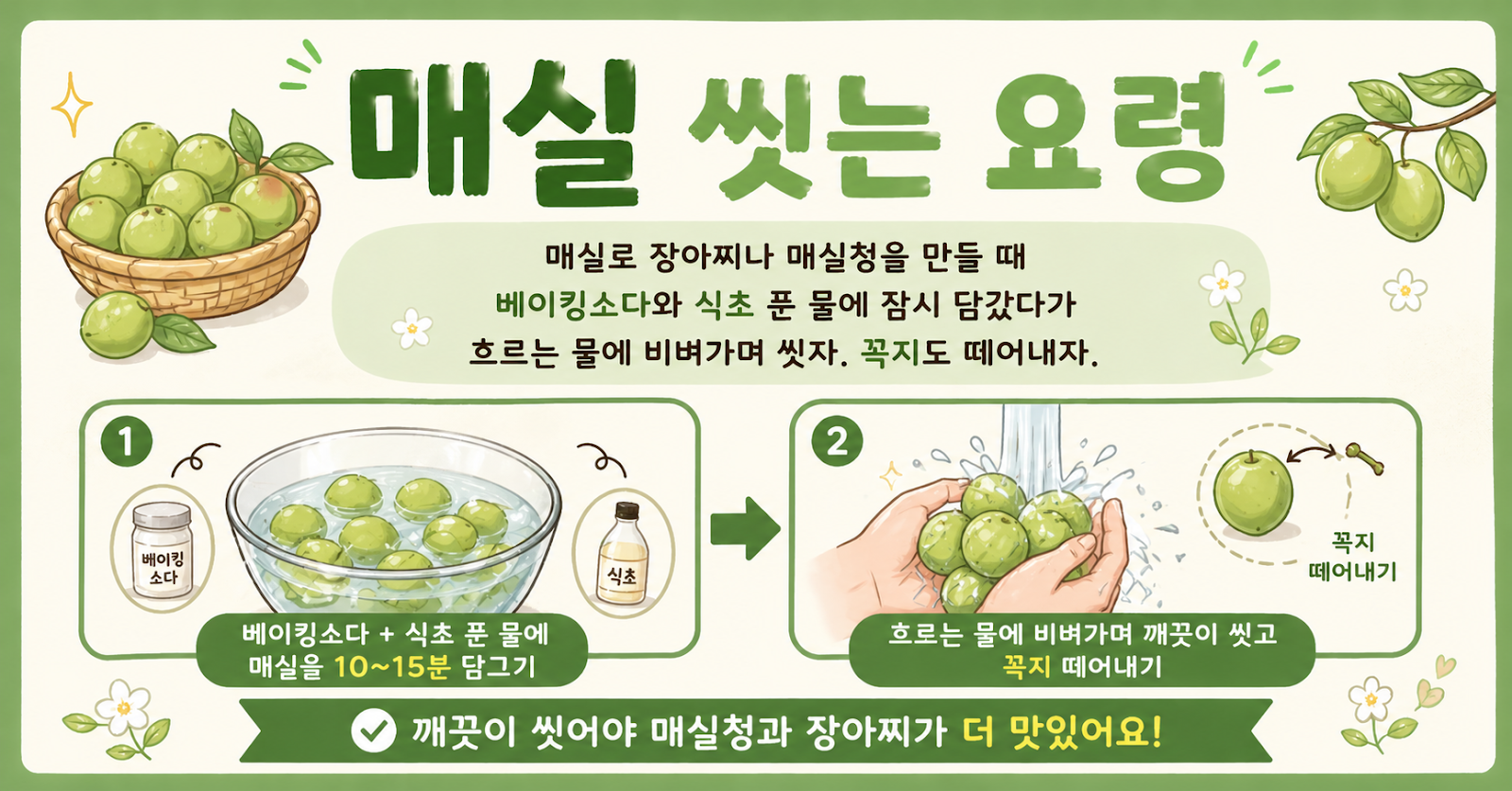 매실 씻는 요령, 베이킹소다·식초물에 담갔다가 꼭지까지 떼세요