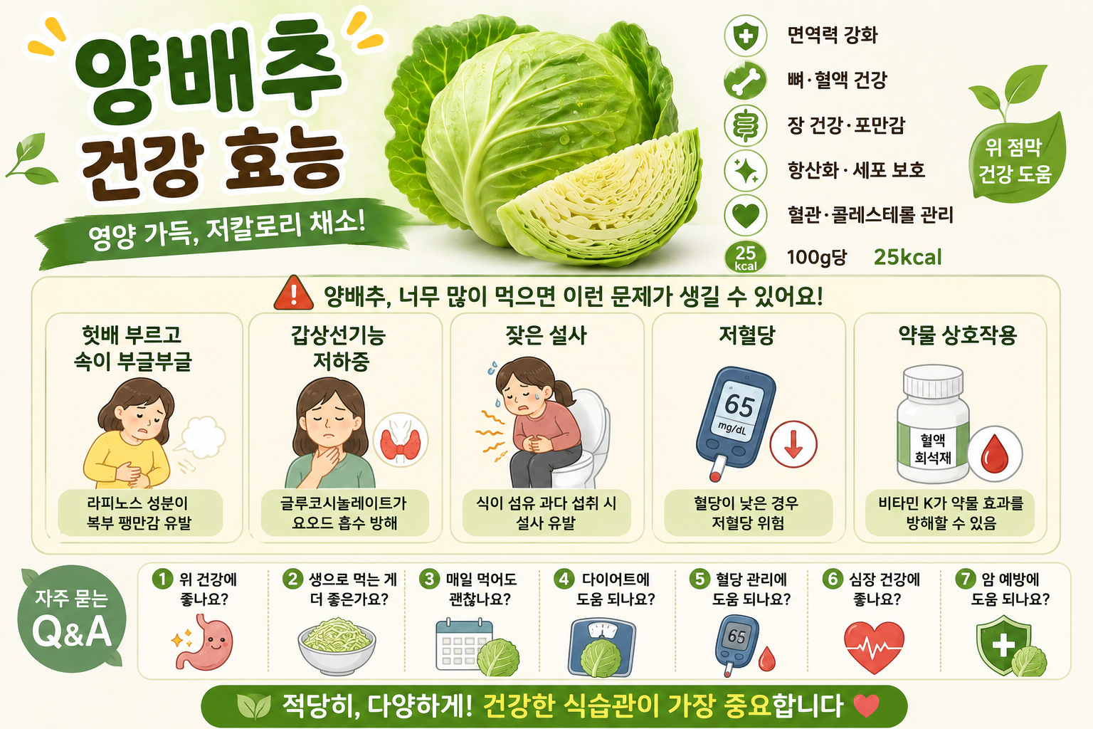 양배추 많이 먹으면 안 되는 사람 4가지, 매일 먹기 전 확인하세요
