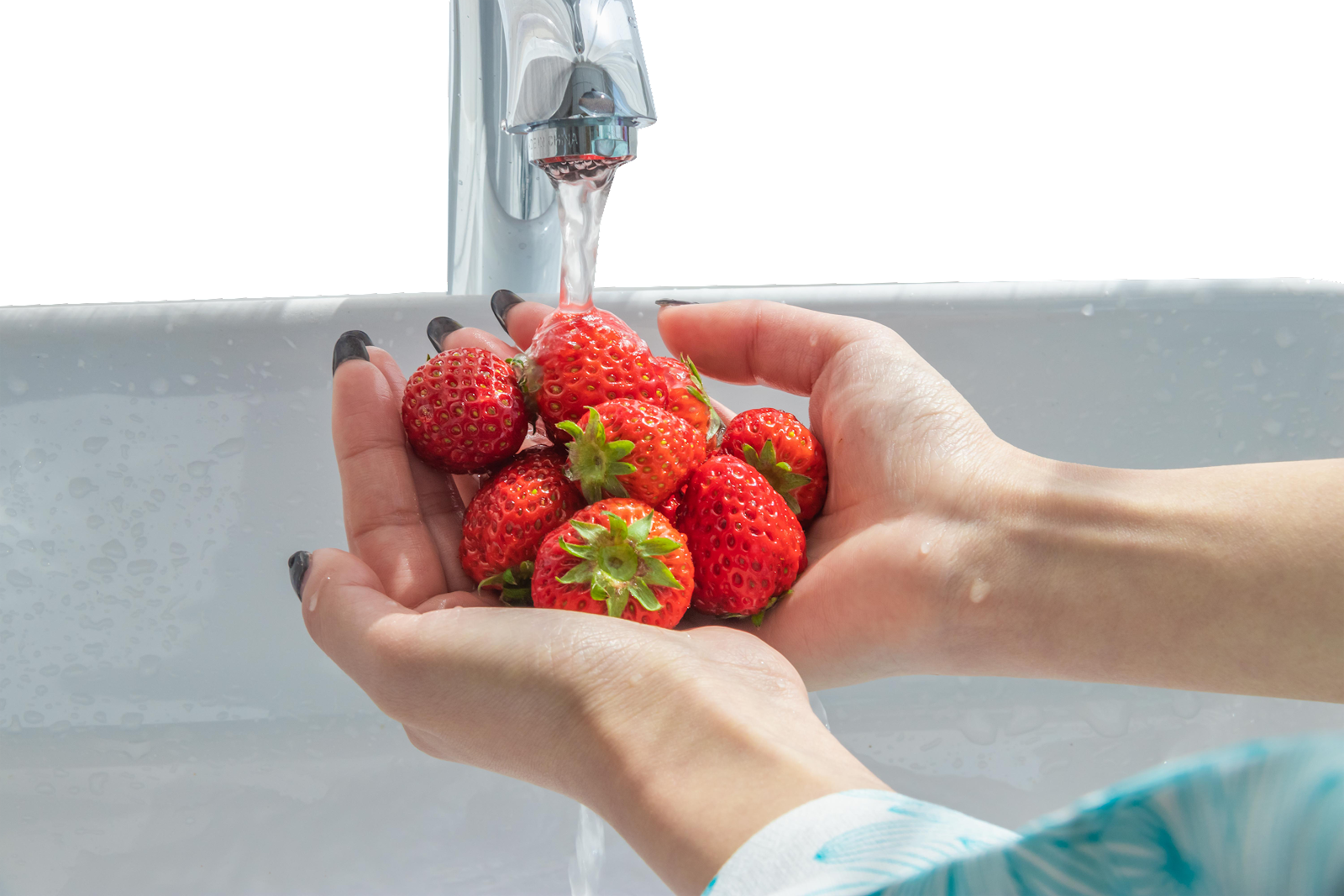 무더운 여름, 수분 보충을 위해 신선한 채소와 과일 잔류 농약 깨끗이 씻어내려면?(Washing off pesticide residues from vegetables and fruits)