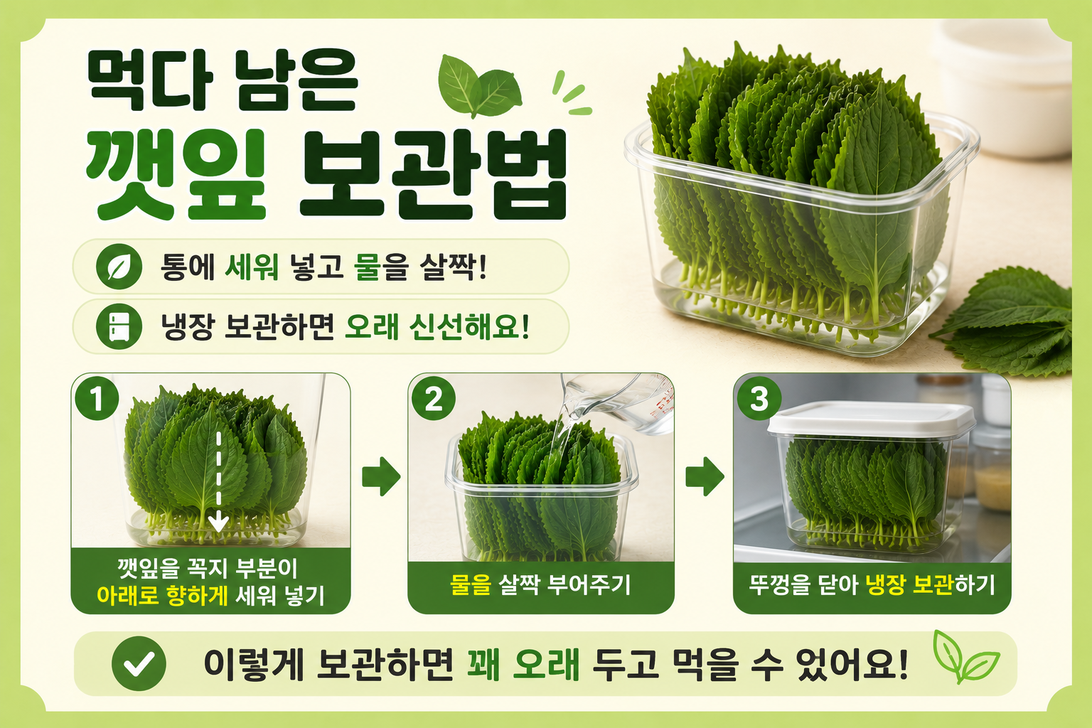 먹다 남은 깻잎 이렇게 보관하세요, 시들지 않게 오래 두는 냉장 보관법