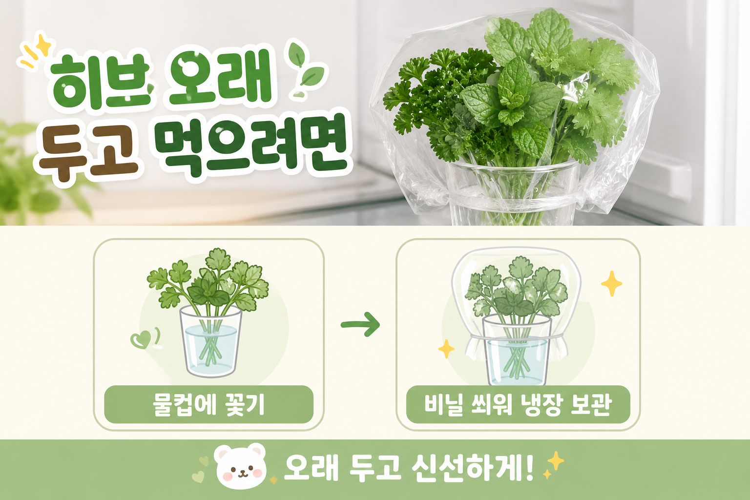 파슬리·고수·민트 오래 보관법, 물컵 하나로 신선함이 오래갑니다
