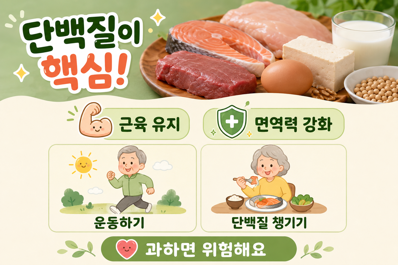 노년기 단백질 부족, 몸이 보내는 위험 신호 5가지와 하루 섭취량