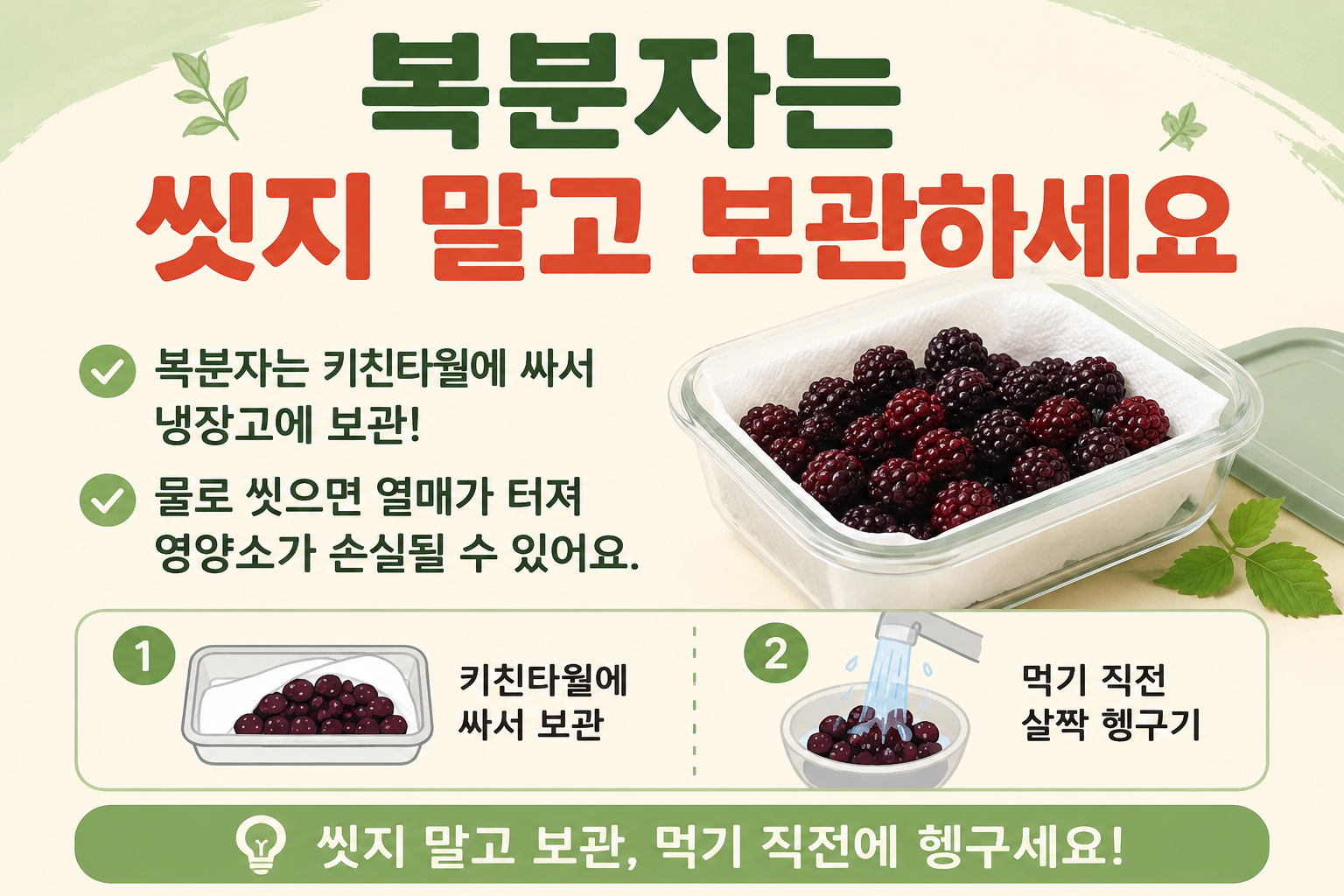 복분자 씻지 마세요! 비타민 지키는 냉장 보관법