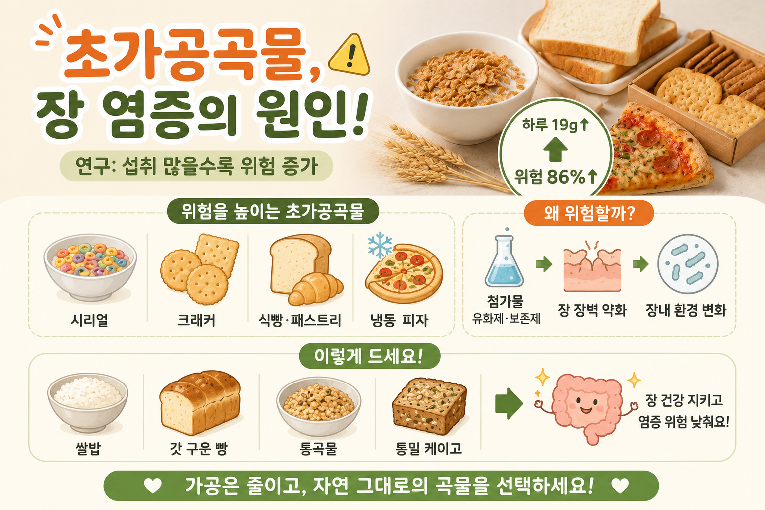 매일 먹는 식빵이 장 염증 위험 높인다? 초가공곡물의 숨은 위험