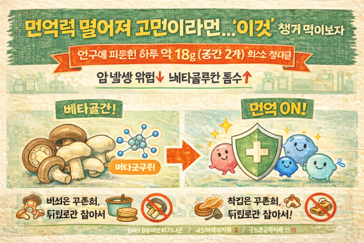 면역력 떨어졌다면 ‘버섯’ 챙겨라… 베타글루칸 효과·하루 18g 연구, 삶아 먹는 조리법까지
