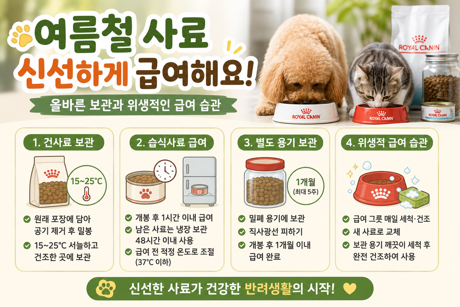 여름철 건사료 냉장고에 넣지 마세요…습식사료 48시간 보관법까지