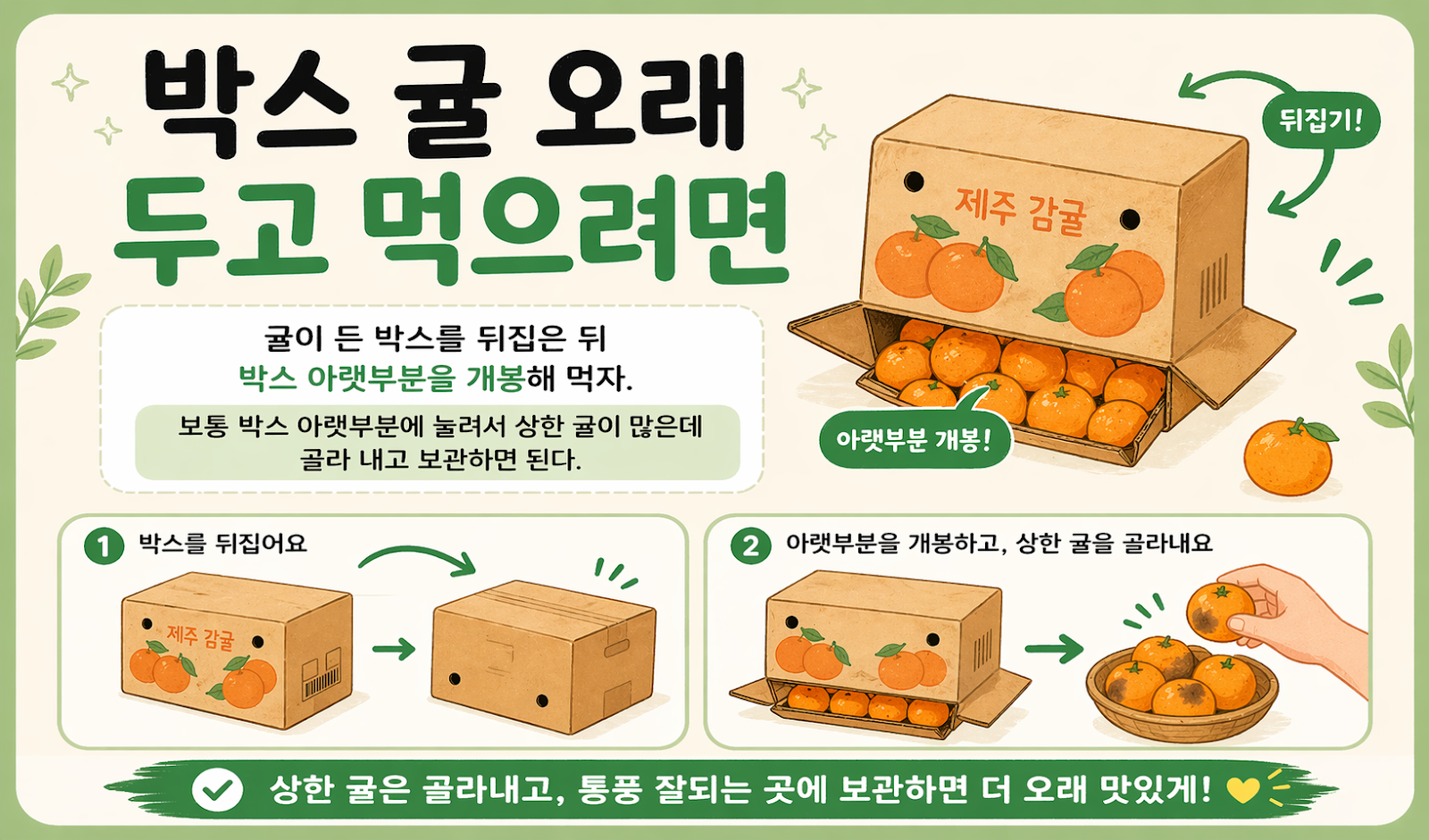 박스 귤 오래 보관하는 법, 뒤집어서 열면 상한 귤부터 골라낸다