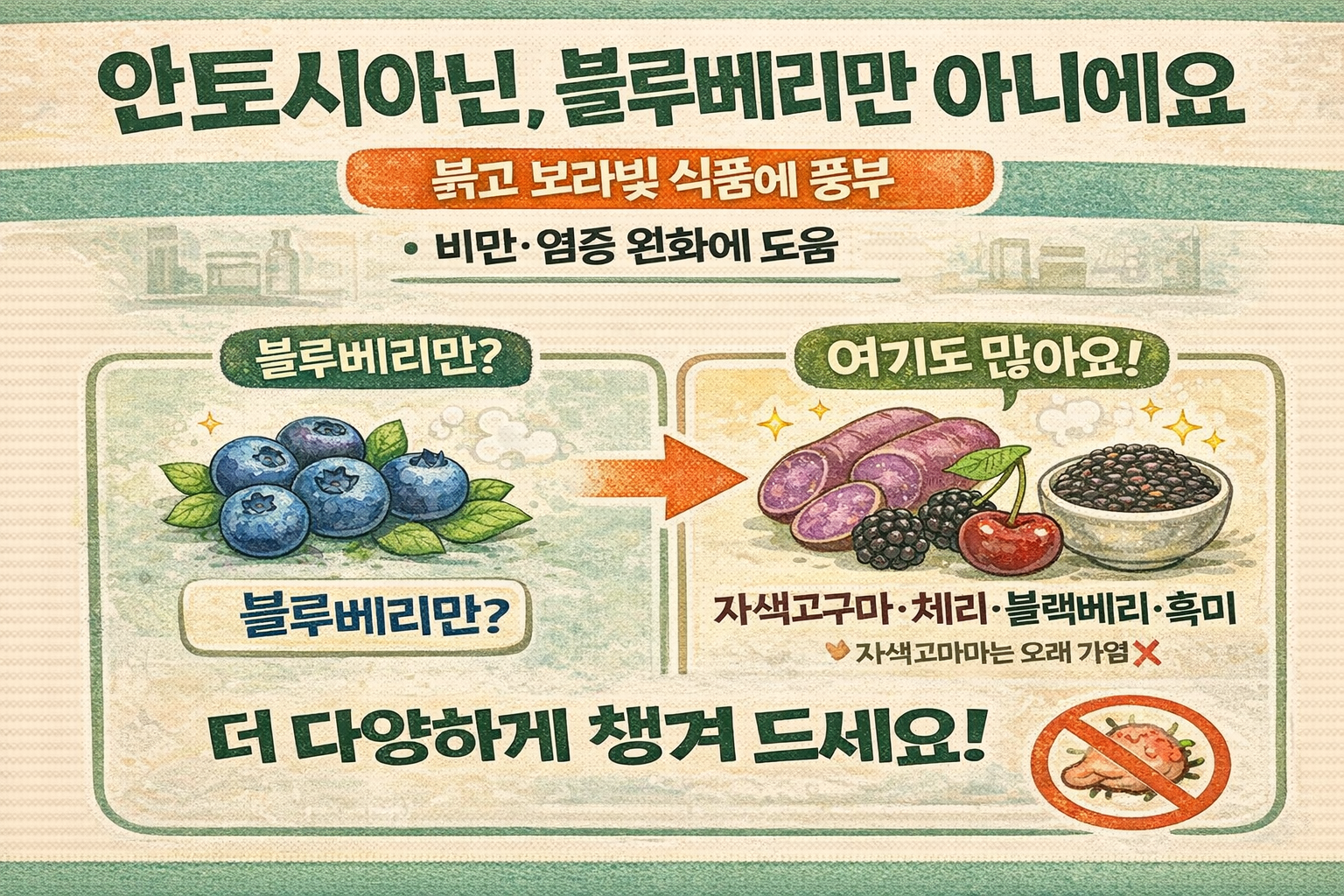 비만 막고 염증 줄이는 안토시아닌, 블루베리 말고도 ‘자색고구마·체리·블랙베리·흑미’에 많다