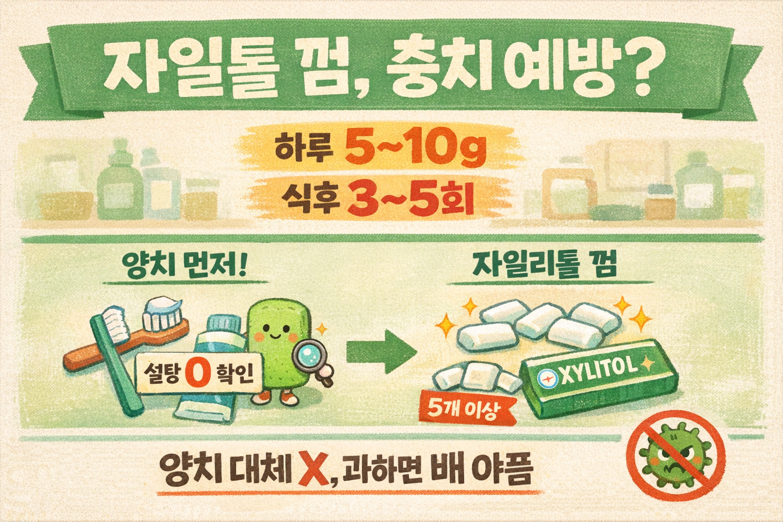 자일리톨 껌, 충치 예방 ‘진짜’ 되려면? 하루 5~10g(식후 3~5회) 기준…양치 대체는 NO