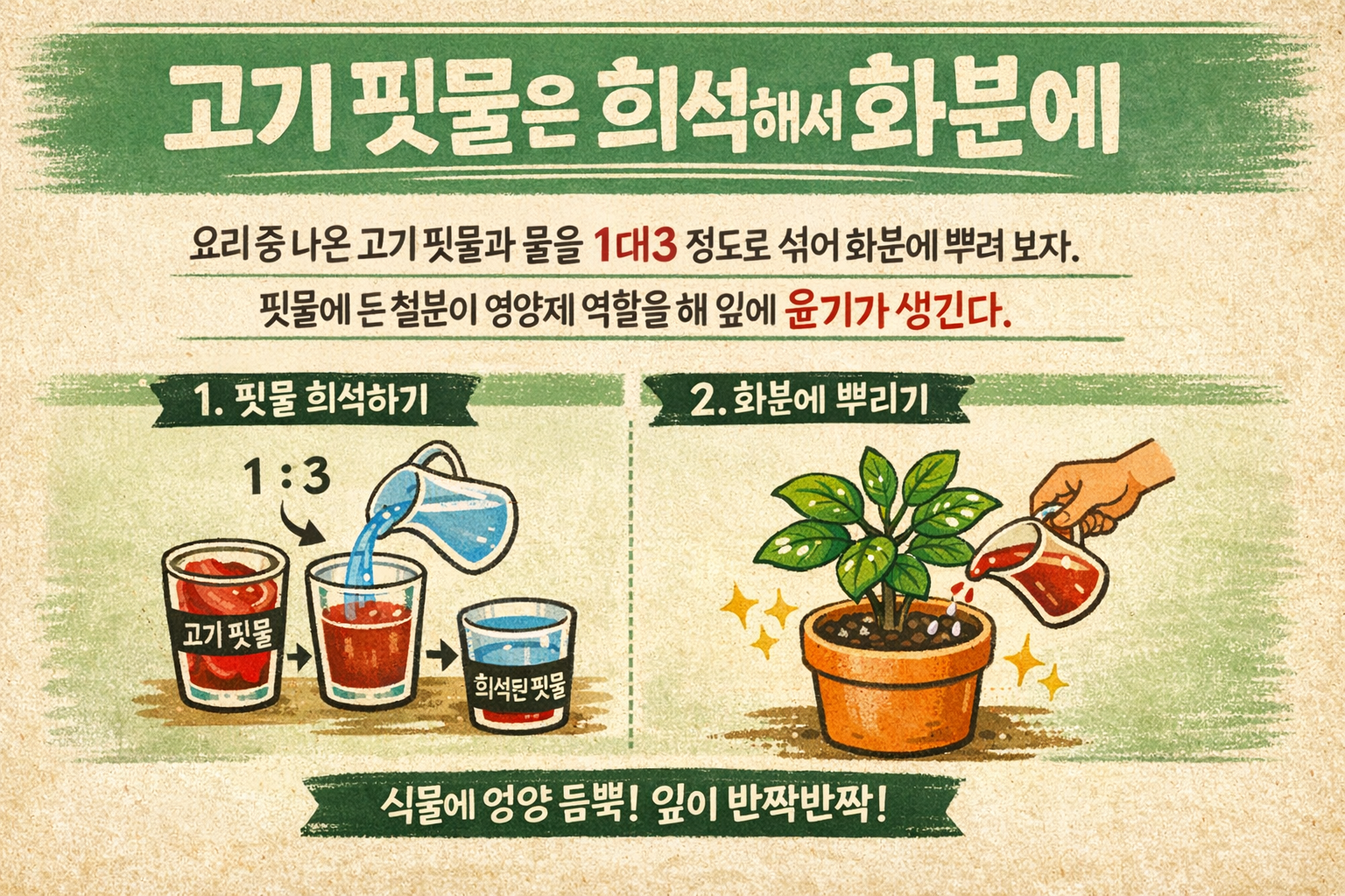 고기 핏물 화분에 줘도 될까? 1대3 희석 효과와 주의점