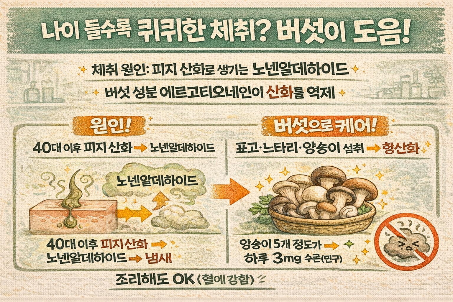 40대 이후 ‘노인 냄새’ 왜 심해질까? 노넨알데하이드 줄이는 버섯 섭취법(에르고티오네인)