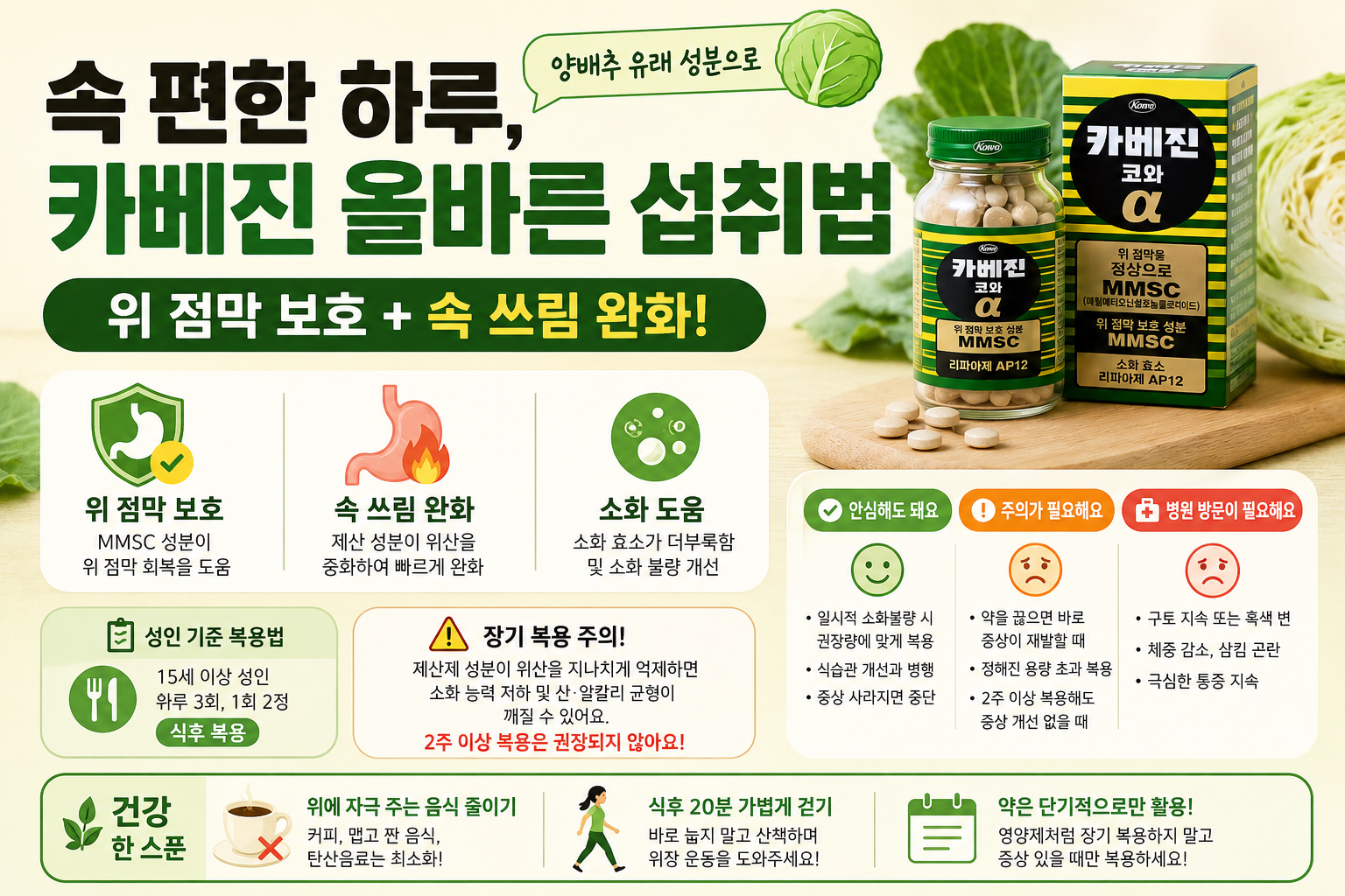 카베진 효능 제대로 보려면? 양배추 성분 복용법과 장기복용 주의사항